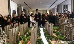 徐州今日爆料电话,揭秘今日热线电话背后的惊人内幕